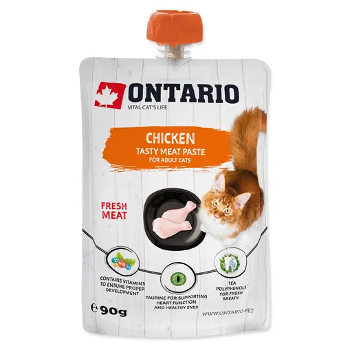 ONTARIO Pasta kuracie 90 g