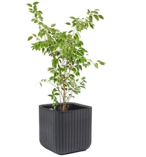 KETER Kvetináč BRICK PLANTER SM | grafit