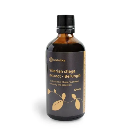Befungin - tinktúra s extraktom z čagy sibírskej - 100 ml - Herbatica