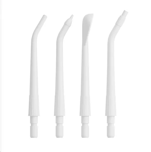 Teslá Flosser FS200 Spare Heads White