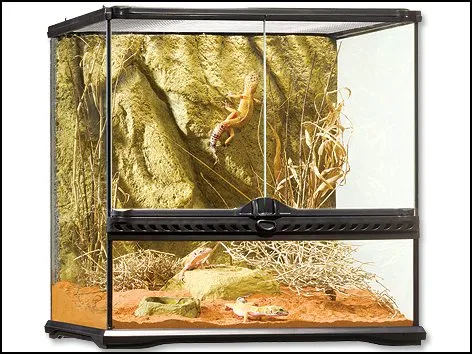 Hagen ExoTerra terárium skleněné 45x45x45 cm