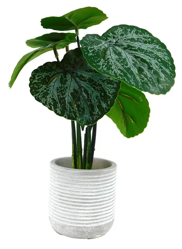 MAKRO - Kvet umelý v kochlíku 7x27cm