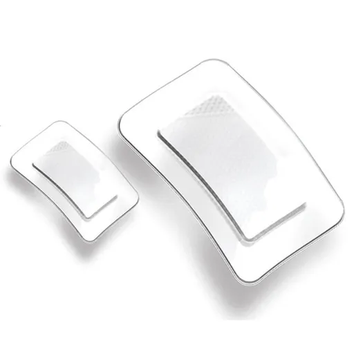 STERIWUND Steri film vodeodolná náplasť 10 x 10 cm 2 kusy