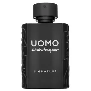 Salvatore Ferragamo Uomo Signature parfémovaná voda pre mužov 100 ml