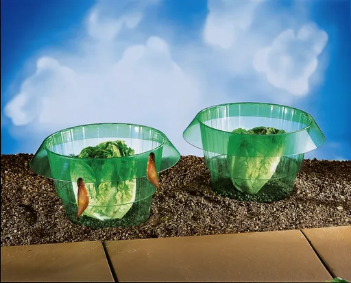 Die moderne Hausfrau Ochranný kryt na salát, 5 ks