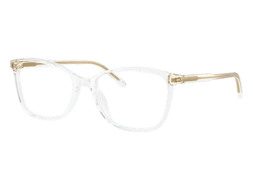 Dolce & Gabbana DG3424 3133