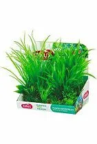 Akváriové rastliny PLANTKIT 1 sada M Zolux