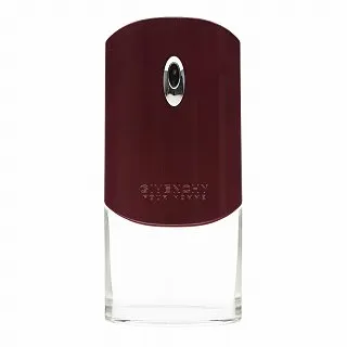 Givenchy Pour Homme toaletná voda pre mužov 100 ml
