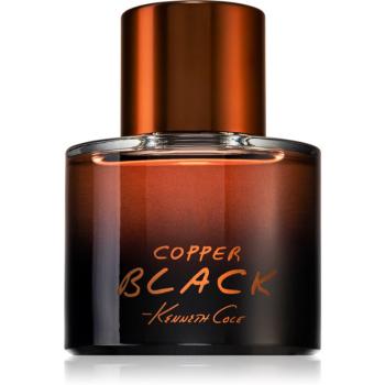 Kenneth Cole Copper Black toaletná voda pre mužov 100 ml