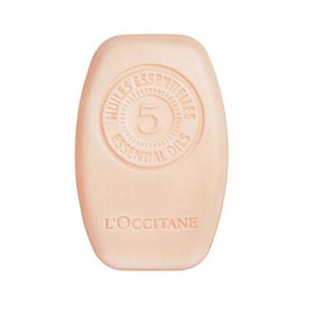 L`Occitane en Provence Tuhý regeneračný šampón (Intensive Repair Solid Shampoo) 60 g