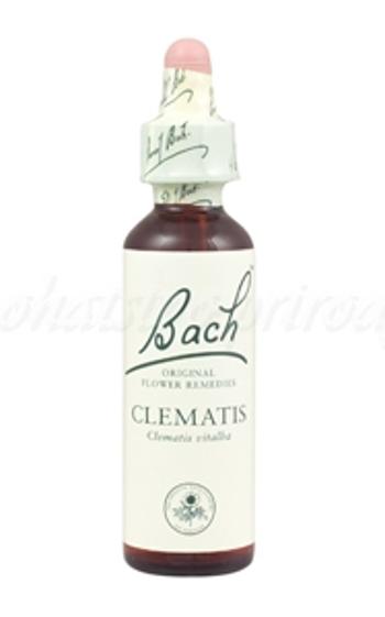 Clematis - Plamienok plotný 20 ml - bachove kvapky