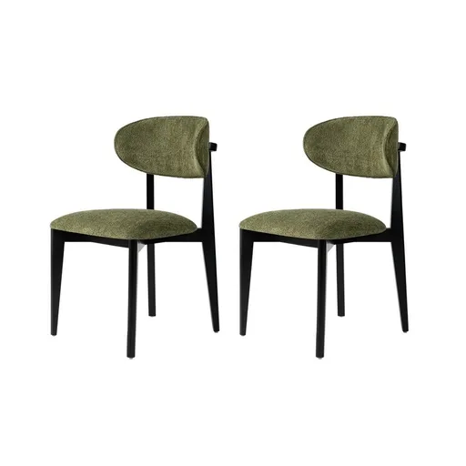 Súprava jedálenských stoličiek Lionte Green and Black, 2 ks