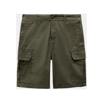 Dickies  Millerville short  Šortky/Bermudy Zelená