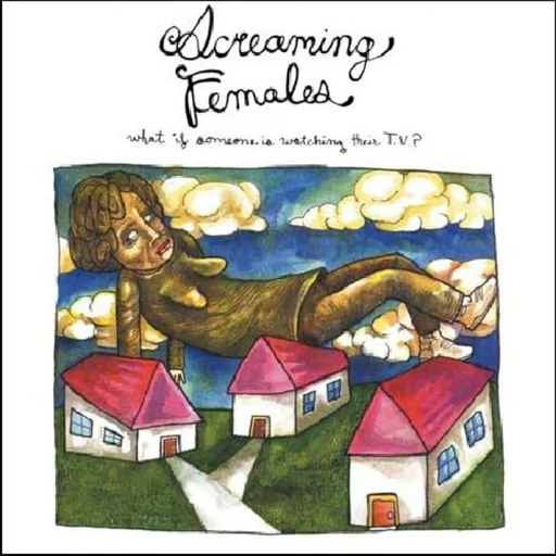 Screaming Females What If Someone is watching their TV ? 1 LP