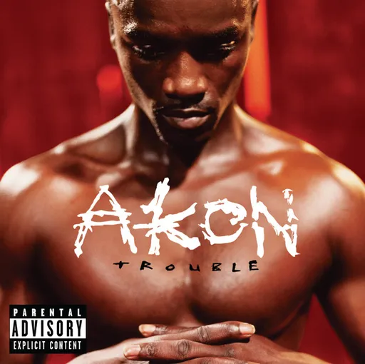 Akon - Trouble / Vinyl / 2 LP