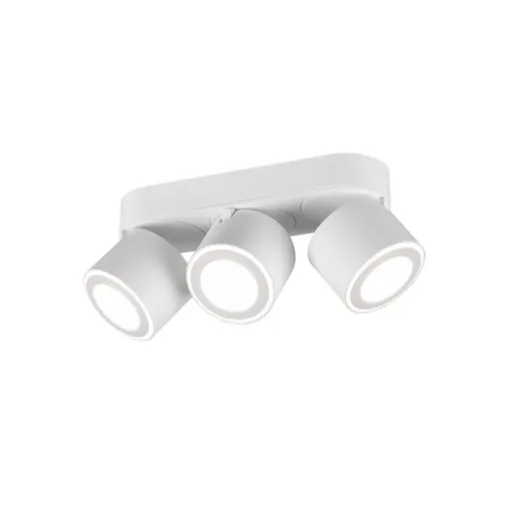 Trio Taurus led stropné osvetlenie biela 652910331 TR652910331