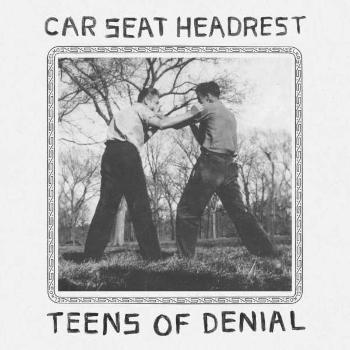 CAR SEAT HEADREST - TEENS OF DENIAL, Vinyl