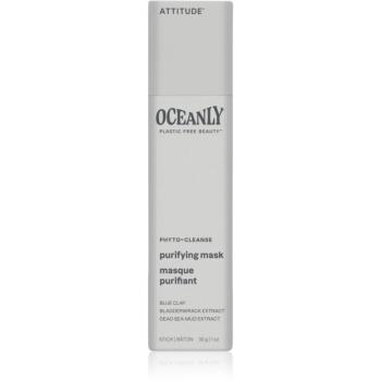 Attitude Oceanly Purifying Mask čistiaca maska s ílom 30 g