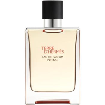 HERMÈS Terre d’Hermès Intense parfumovaná voda intense pre mužov 100 ml