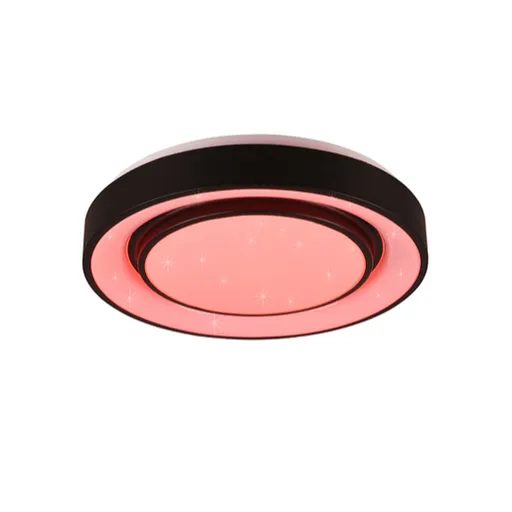 Reality Mona led stropné osvetlenie čierna r65041032 RER65041032