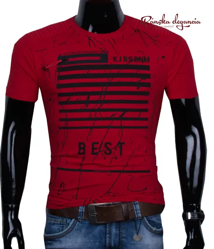 Trendové pánske tričko.