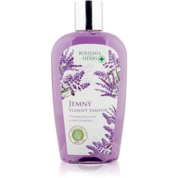 Bohemia Gifts & Cosmetics Bohemia Herbs Lavender šampón na vlasy 250 ml