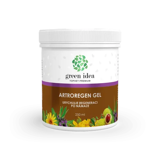 Artroregen masážny gél 250 ml - Green idea