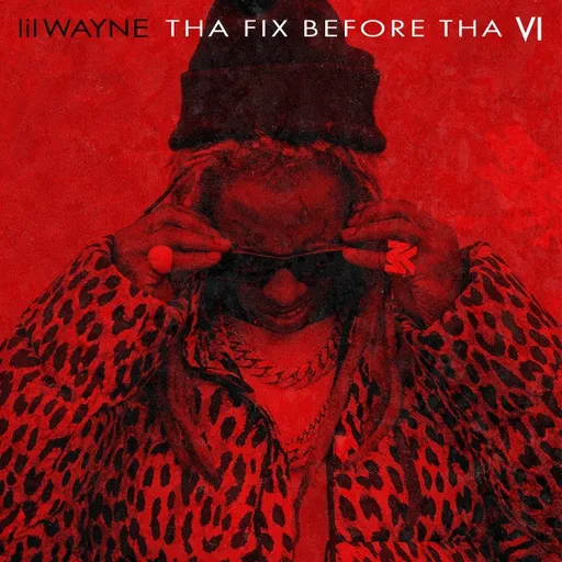 LIL WAYNE - THA FIX BEFORE THA VI 1 LP