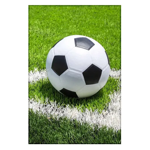 Jerry Fabrics Fleecová deka s motívom Futbal - 100 x 150 cm