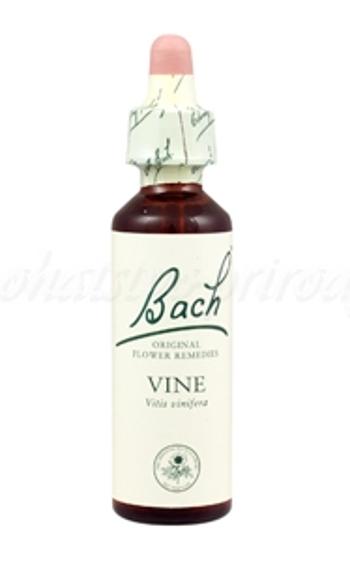 Vine - Vínna réva 20 ml - bachove kvapky