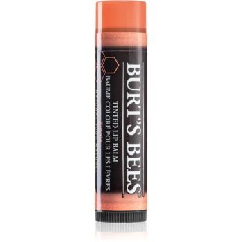 Burt’s Bees Tinted Lip Balm balzam na pery odtieň Zinnia 4.25 g