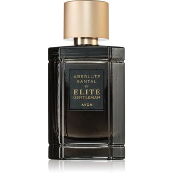 Avon Elite Gentleman Absolute Santal toaletná voda pre mužov 50 ml