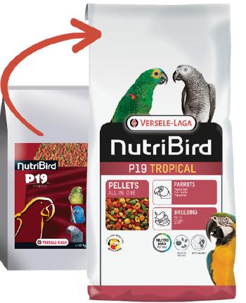 Versele Laga NutriBird P19 Tropical - pre veľkých papagájov 10kg