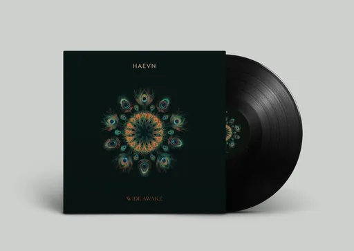 HAEVN: Wide Awake LP