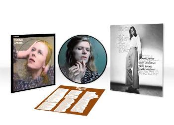 HUNKY DORY (PICTURE VINYL ALBUM)