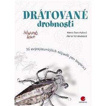 Drátované drobnosti (80-247-0891-4)