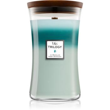 Woodwick Icy Woodland vonná sviečka s dreveným knotom 609,5 g