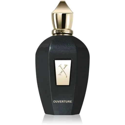 Xerjoff Ouverture parfumovaná voda unisex 100 ml