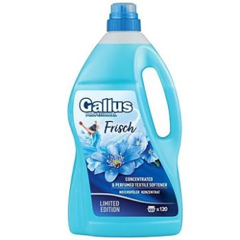 GALLUS Professional Frisch 4,08 l (120 praní) (4251415302685)