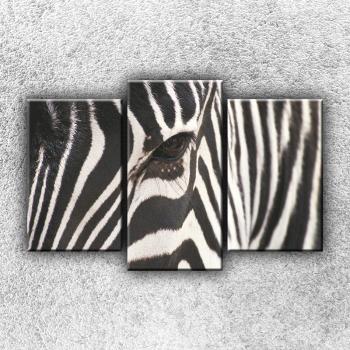 Foto na plátne Zebra - oko 75x50 cm