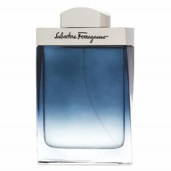 Salvatore Ferragamo Subtil Pour Homme toaletná voda pre mužov 100 ml