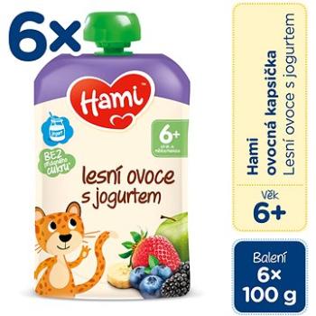 Hami Lesné ovocie s jogurtom 6× 100 g (5900852055072)