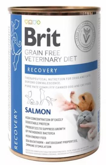 Brit Veterinary Diets GF cat + dog Recovery konzerva pre psy a mačky 400g