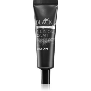 Mizon Black Snail All in One pleťový krém s filtrátom sekrétu zo slimáka 90% 35 ml