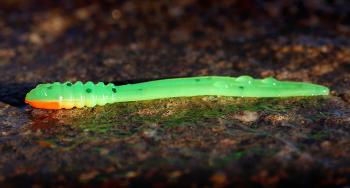 Redbass gumová nástraha micro tail fluo green rh uv color - s 48 mm