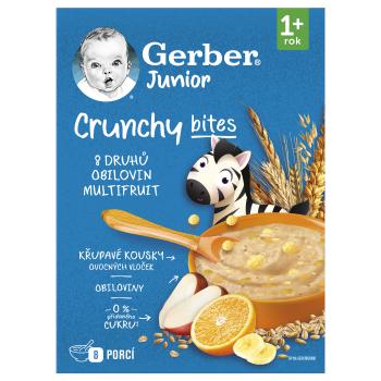 GERBER Junior nemliečna kaša ovocná s chrumkavými kúskami 200 g