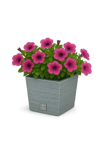 ProsperPlast Kvetináč FURU SQUARE LOW | betón 24 cm