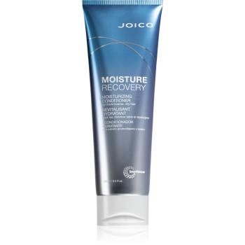 Joico Moisture Recovery hydratačný kondicionér pre suché vlasy 250 ml