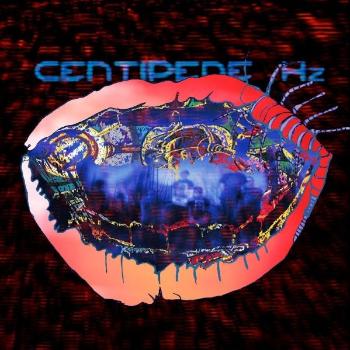 ANIMAL COLLECTIVE - CENTIPEDE HZ, CD