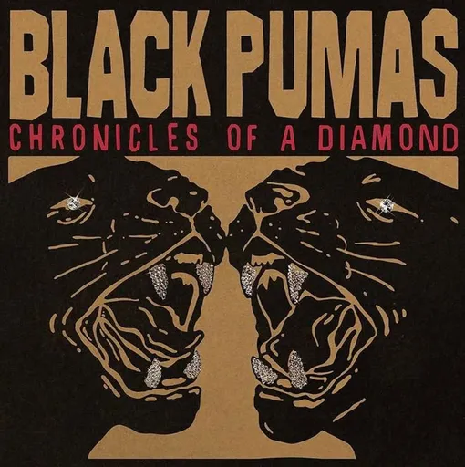 Black Pumas, CHRONICLES OF A DIAMOND, CD